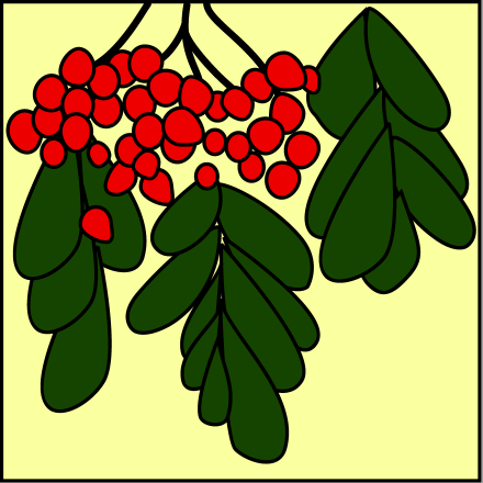 Rowan berries